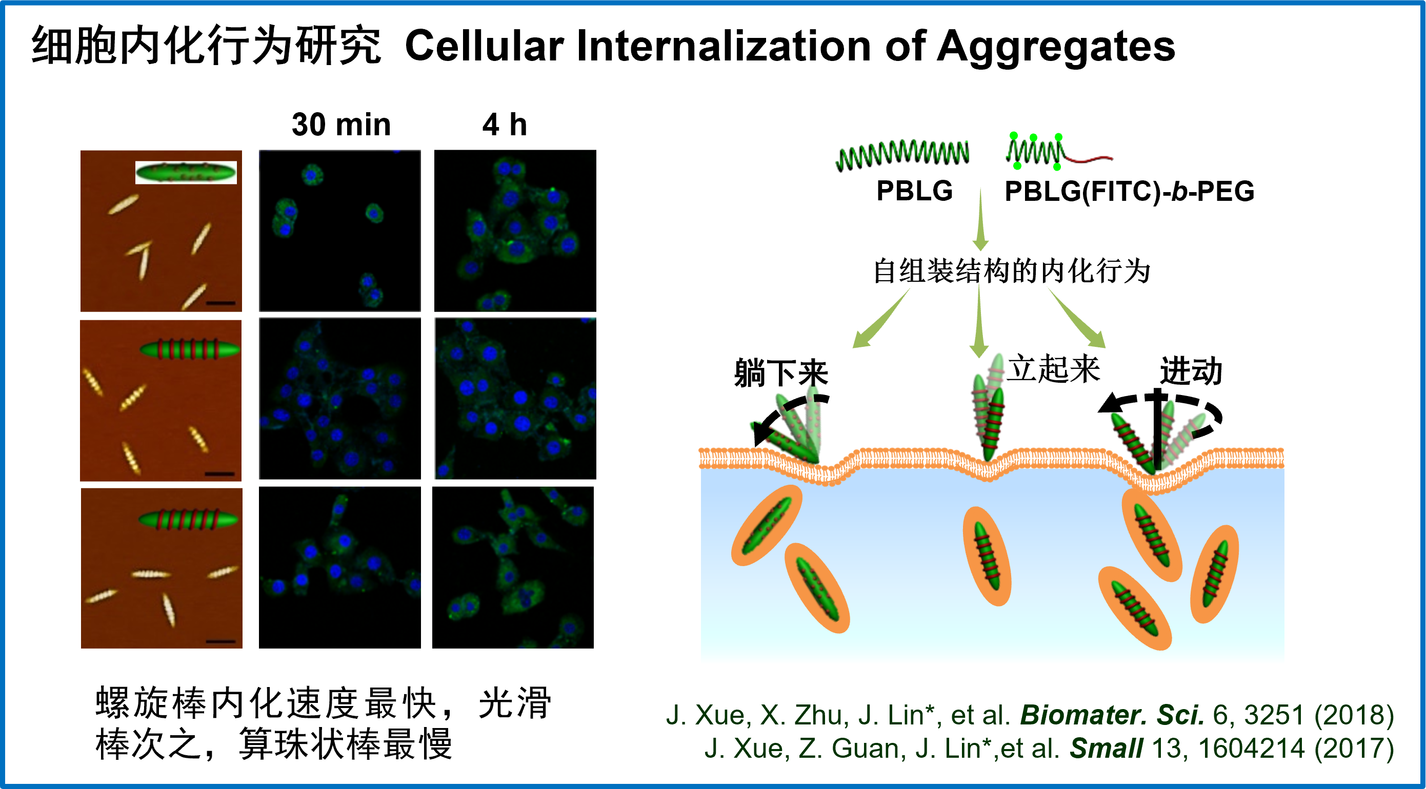 生物医用高分子材料